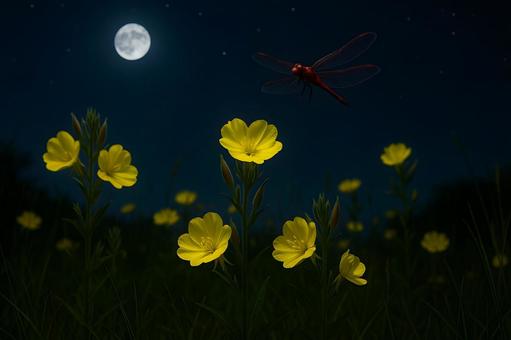 満月に舞うトンボと野の花 満月に舞うトンボと野の花の写真