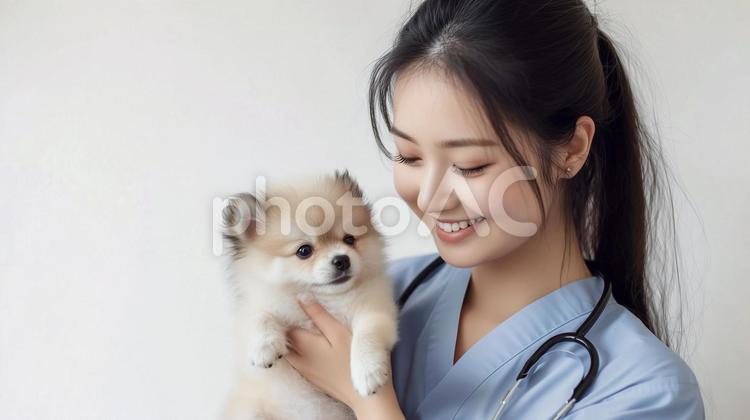 子犬を抱き優しく微笑む女性獣医師 獣医師,犬,女性の写真素材
