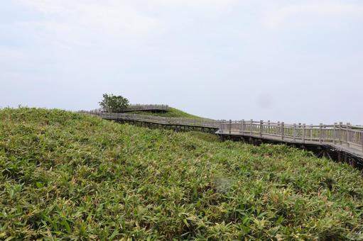 Photo, shiretoko lake, elevated wooden road, shiretoko, 
