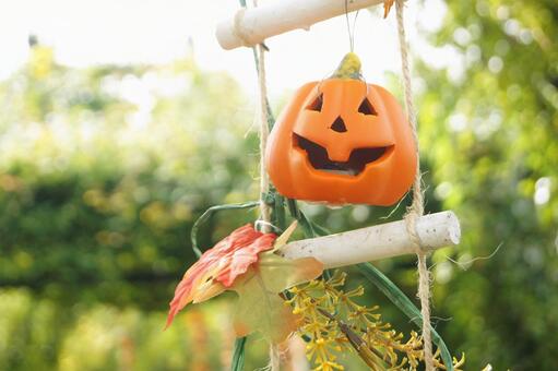 ハロウィン-179の写真