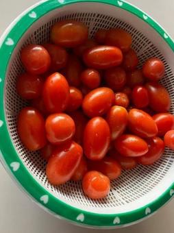 トマトの写真