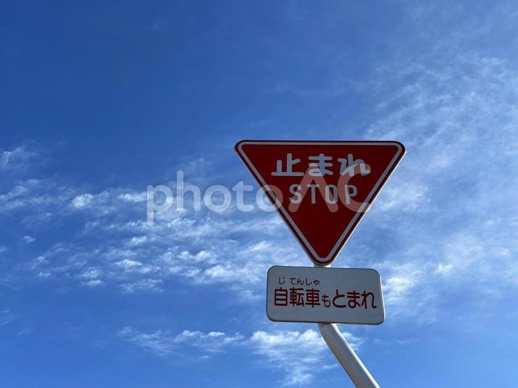 止まれの標識と空 止まれ,標識,空の写真素材