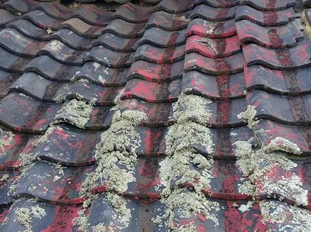 苔の生えた廃屋の瓦 瓦,屋根,瓦屋根の写真素材