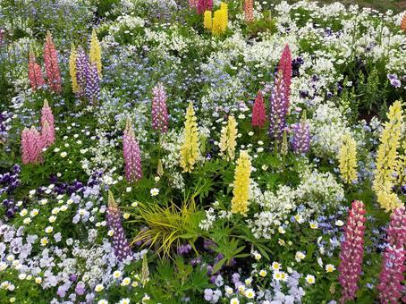 ガーデンの写真