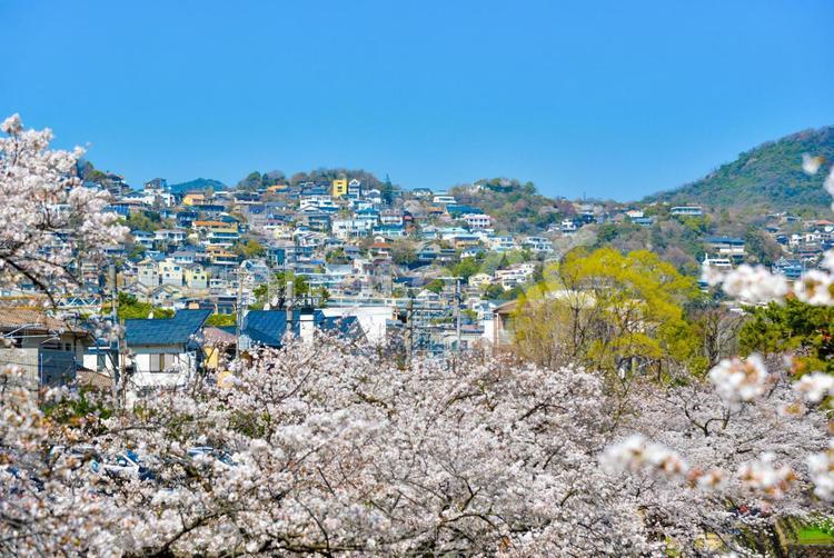 住宅のイメージ 住宅,家,住宅街の写真素材