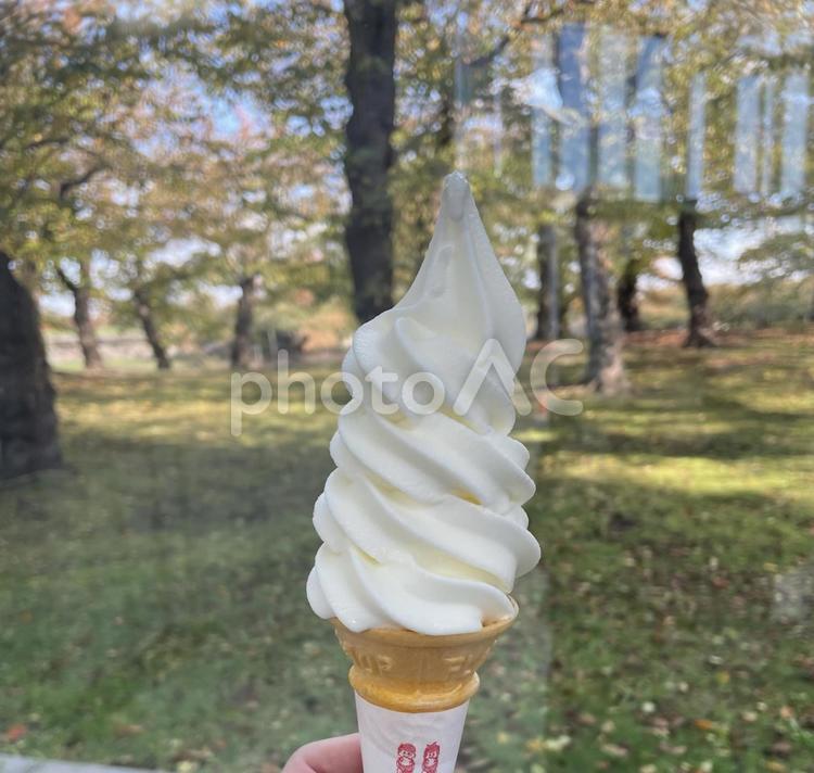 ソフトクリーム ソフトクリーム,北海道,濃厚の写真素材