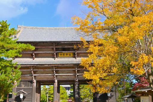 秋の紅葉に彩られた東大寺南大門 東大寺,南大門,国内最大の山門の写真素材