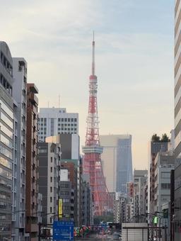 三田通りの東京タワー 田町,東京タワー,三田の写真素材