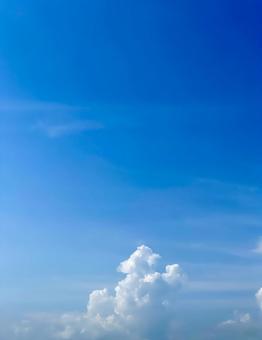 夏の空を見上げて 青空,空,スカイブルーの写真素材
