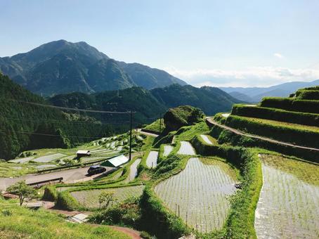 丸山千枚田 丸山千枚田 千枚田,稲作,風景の写真素材