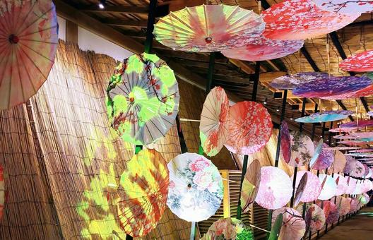 カラフルな和傘飾り/由志園 傘,和傘,飾りの写真素材