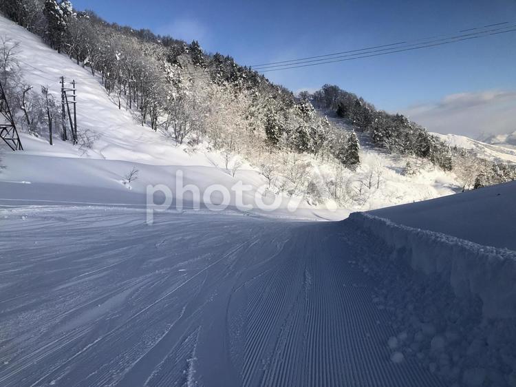 ゲレンデ風景　白馬岩岳スノーリゾート ゲレンデ,白馬岩岳スノーフィールド,長野県の写真素材