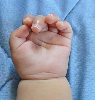 赤ちゃんの手 赤ちゃんの手の写真