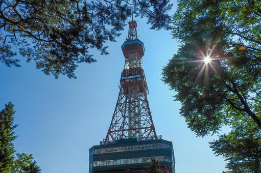 木々に囲まれた札幌テレビ塔 木々に囲まれた札幌テレビ塔 木々,木,樹木の写真素材