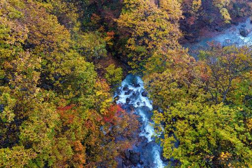 松川渓谷の紅葉 松川渓谷の紅葉 松川渓谷,紅葉,ブルーの水の写真素材