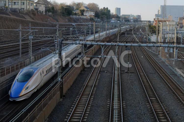 E7系新幹線日暮里 e7,新幹線,鉄道の写真素材