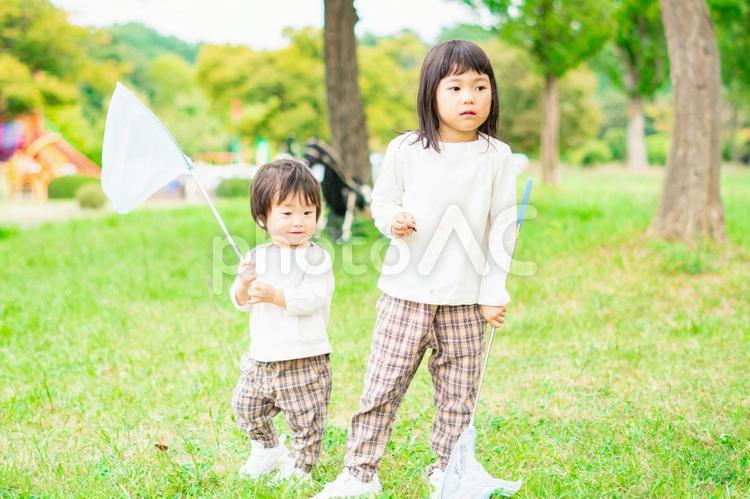 仲良しなきょうだい 子供,子ども,こどもの写真素材