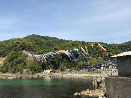 こいのぼり こいのぼりの写真