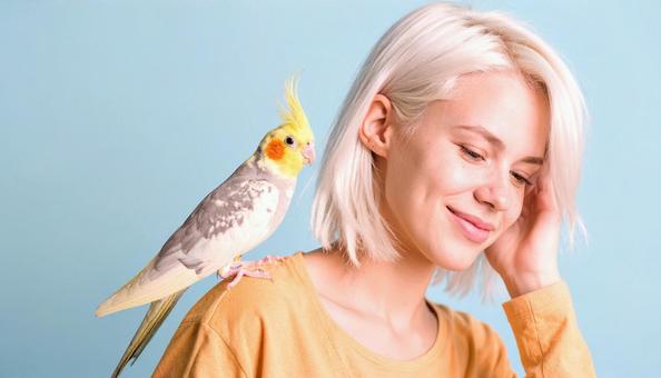 オカメインコと女性 オカメインコと女性の写真