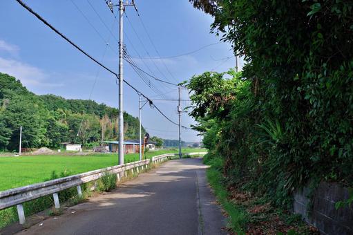 夏の田舎道にて 夏の田舎道にて 田舎道,道路,田園風景の写真素材