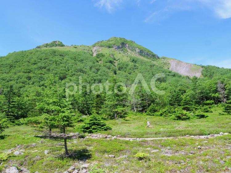 五色沼から日光白根山頂を仰ぐ 日光白根山,白根山,五色沼の写真素材