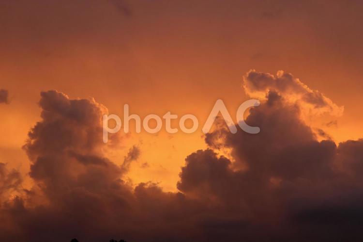 夕焼けと入道雲 入道雲,積乱雲,空の写真素材
