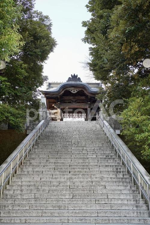 宇都宮二荒山神社の参道 宇都宮二荒山神社,参道,階段の写真素材