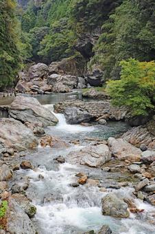 中津渓谷 仁淀川水系上流12 中津渓谷 仁淀川水系上流12の写真