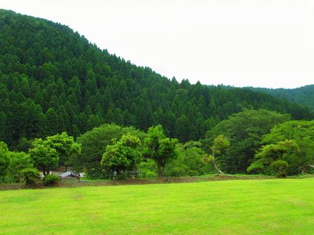 福井県-一乗谷朝倉氏遺跡 福井県-一乗谷朝倉氏遺跡の写真
