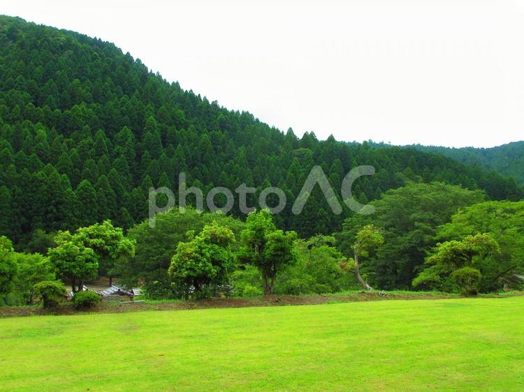 福井県-一乗谷朝倉氏遺跡 一乗谷,朝倉氏遺跡,中の御殿跡の写真素材