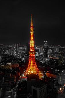 東京タワー全景 東京タワー全景の写真