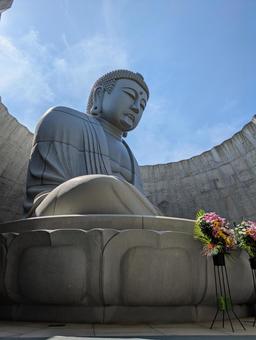大仏 滝野霊園 大仏 滝野霊園 滝野,滝野すずらん,夏の写真素材