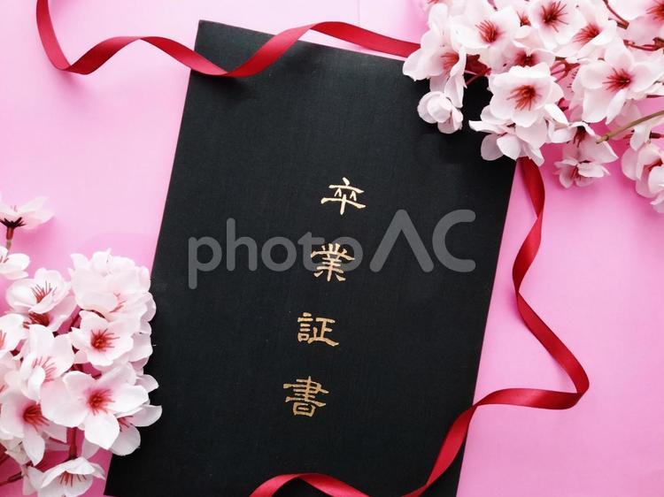 卒業証書と桜4 卒業,卒業証書,卒業式の写真素材