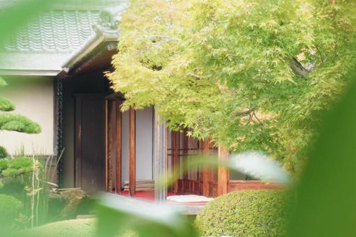 緑に包まれる庭園 緑に包まれる庭園の写真