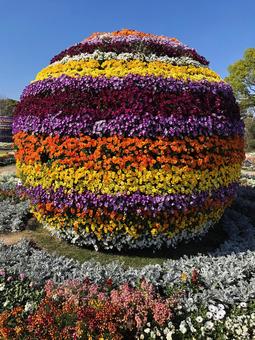 花 花の写真