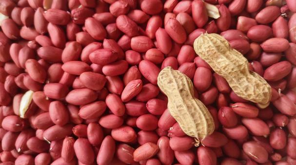 落花生 (17) 落花生,ピーナッツ,豆の写真素材