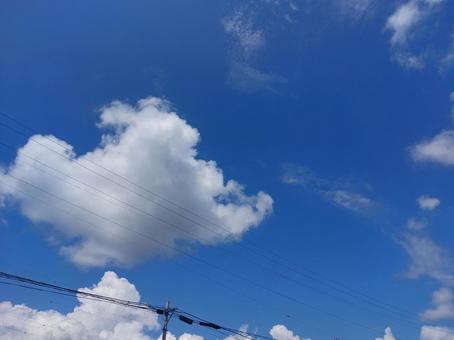 青空と電線 青空と電線の写真