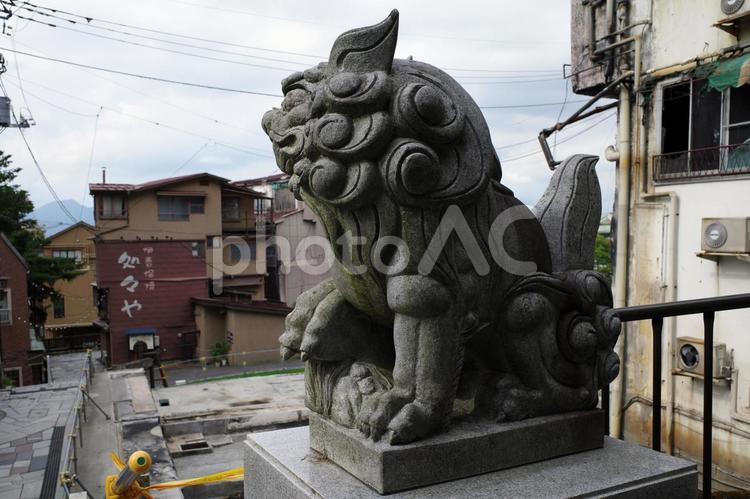 伊香保神社の狛犬 伊香保,伊香保温泉,伊香保神社の写真素材