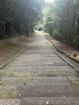 下に下がる山の中の石段 階段,石段,石の写真素材