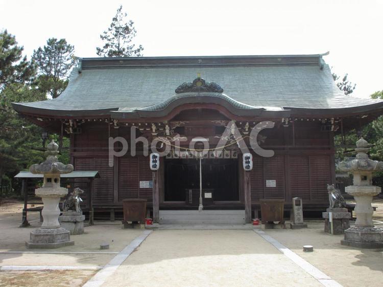 香川県-津田石清水神社-拝殿 津田石清水神社,神社,津田の松原の写真素材