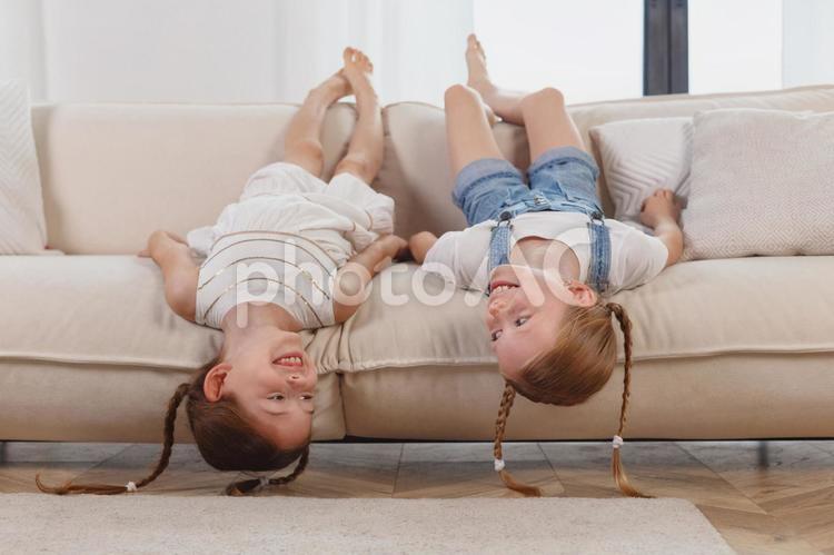 背もたれに足をあげて見つめる姉妹（笑顔） 姉妹,女の子,女児の写真素材