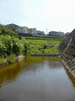 横浜市栄区・上郷町付近のいたち川風景 川,河川,水の写真素材