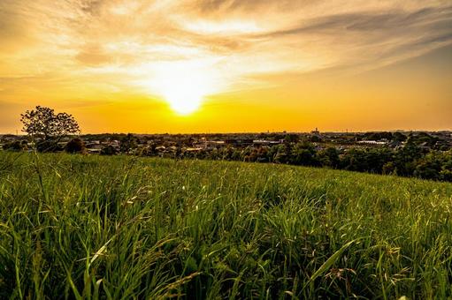 芝生の先に広がる住宅地と夕焼け 芝生の先に広がる住宅地と夕焼け 夕日,夕方,夕暮れの写真素材