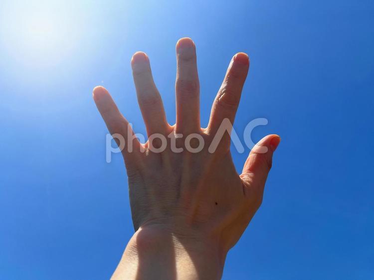 青空と手の甲 手,手の甲,女性の写真素材
