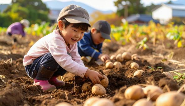 芋掘りする子供 芋掘りする子供の写真
