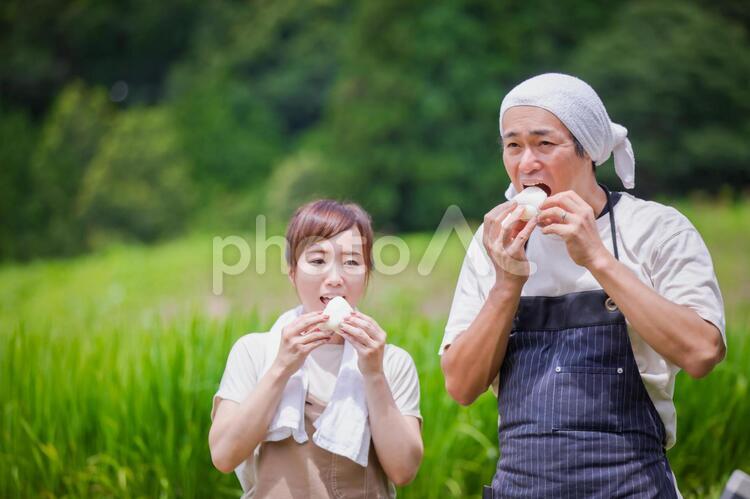 お米と農家 農家,お米,農業の写真素材