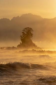 黄金色に透ける波と女岩_縦 輝き,キラキラ,透明感の写真素材