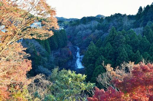 ＜千葉県＞粟又の滝（養老渓谷） 粟又の滝,養老渓谷,秋の写真素材