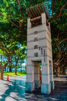 【台湾】台中の夏の公園 2025 【台湾】台中の夏の公園 2025の写真