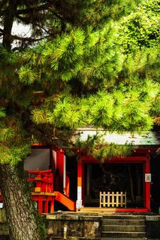 赤間神宮 赤間神宮 赤間神宮,山口県,下関市の写真素材